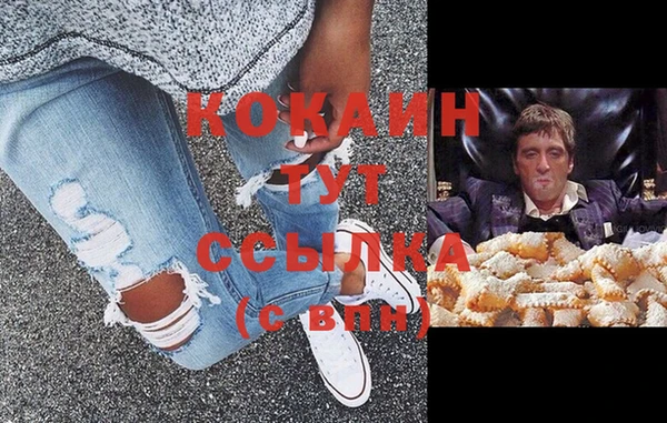 шишки Болохово