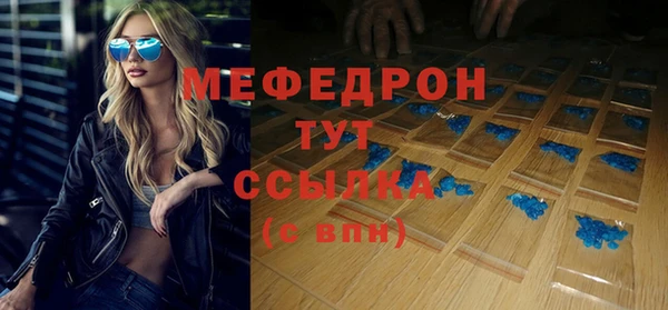 гашик Болотное
